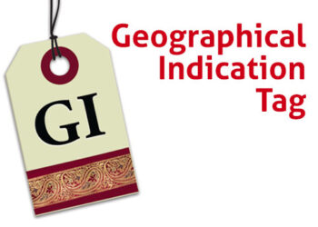 After 70 yrs, J&K products get global recognition; GI tags part of new export policy