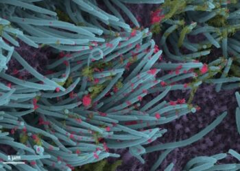 Very few recombinant variants of Covid found in India: INSACOG