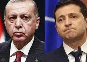 Erdogan, Zelensky discuss Ukraine crisis over phone