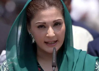 If Imran likes India so much, then he should leave Pak & move: Maryam Nawaz
