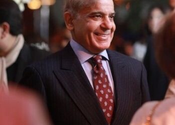 Shehbaz faces test after proposed fuel price hike of Rs 120 per litre