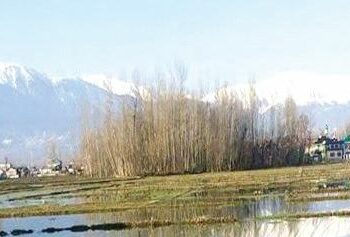 Temp increases amid dry weather in J&K