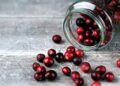 Eating cranberries may help improve memory, ward off dementia