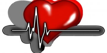 Brain-dead youth’s heart shifted from Vellore to Chennai for transplantation