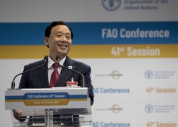 G7: FAO bats to address current, future food shortages