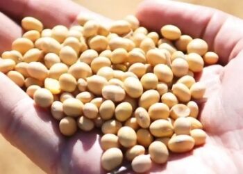 Warnings of global food shortage as missiles hit Odesa