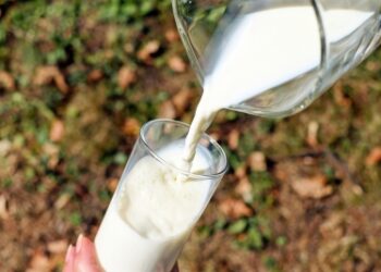 Verka milk to be costlier now