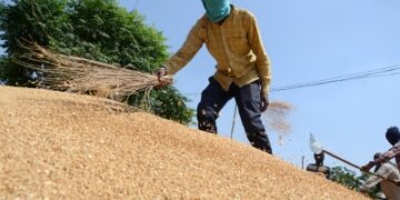 Centre bans wheat export