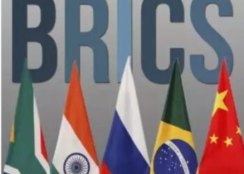 BRICS countries pledge to deepen cooperation on intelligent customs