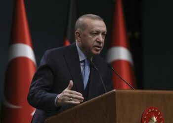Turkey’s concerns on Sweden, Finland’s NATO bids ‘legitimate’: President