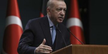 Turkey’s concerns on Sweden, Finland’s NATO bids ‘legitimate’: President