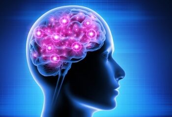 Human brains are hotter than thought, particularly women’s: Study