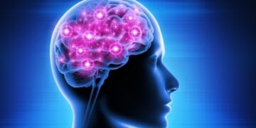 Human brains are hotter than thought, particularly women’s: Study