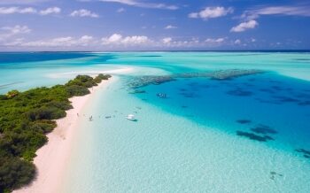 UN summit opens with call to tackle ocean emergency