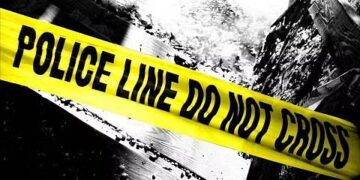 Woman killed, 4 others injured after tree falls on them in Kangan