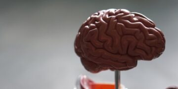 Bad dreams in older adults could signal onset of Parkinson’s: Study