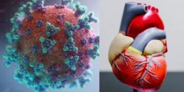 Covid survivors likely to develop heart diseases, diabetes in 3 months