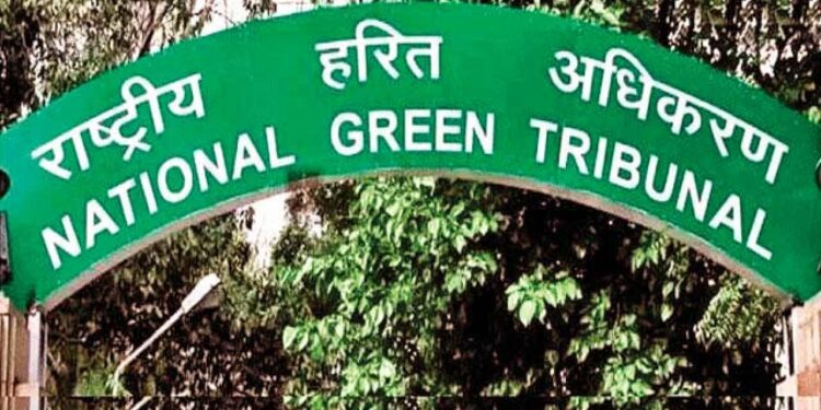 NGT calls for regulation of vehicular movement in Kashmir’s green pastures