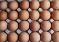 US researchers produce Covid antibodies using hen eggs