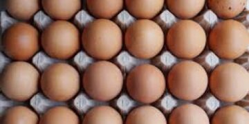 US researchers produce Covid antibodies using hen eggs