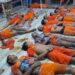 10 people electrocuted in Bengal