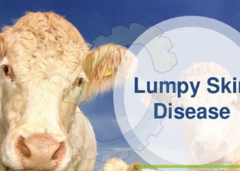 Lumpy SKIN Disease: Govt constitutes task forces for two divisions each of UT