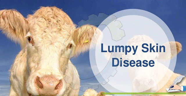 Lumpy SKIN Disease: Govt constitutes task forces for two divisions each of UT