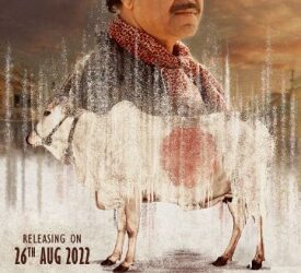 Sanjay Mishra-starrer ‘Holy Cow’ poster is intriguing, humorous