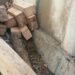Illicit timber seized in Central Kashmir’s Budgam