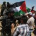37 Palestinians injured in West Bank clash
