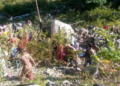 11 dead, 29 injured as mini-bus plunges into gorge in J-K’s Poonch