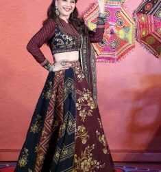 Marathi mulgi Madhuri Dixit to portray Gujarati housewife in ‘Maja Ma’