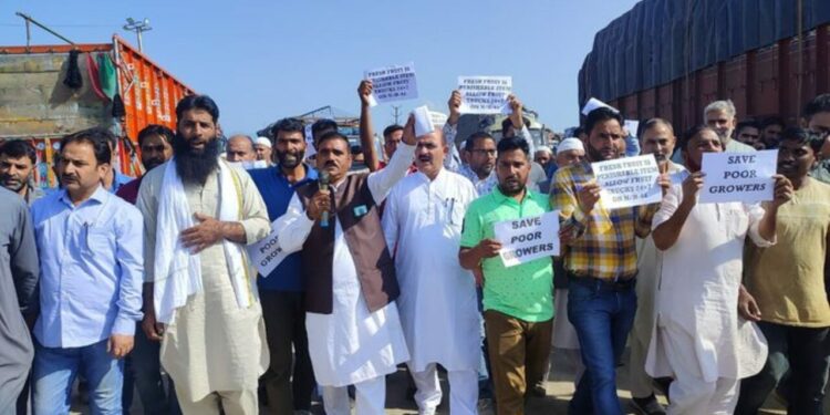 Halting fruit trucks on Sgr-Jmu highway: Sopore Mandi faces Rs 500 Cr loss in Sep