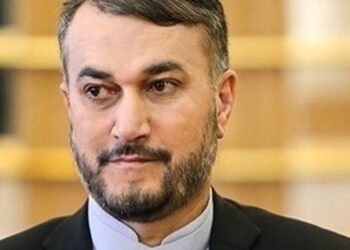 Iran seeks ‘logical’ nuke deal to secure interests: FM