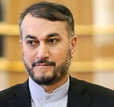 Iran seeks ‘logical’ nuke deal to secure interests: FM