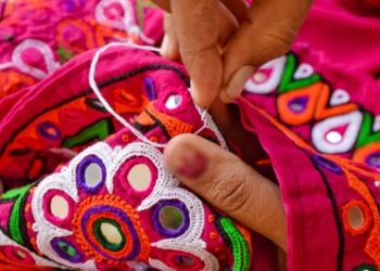 This Kashmiri prefers business, is emerging as role model