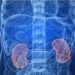 Long-term exposure to air pollution ups kidney disease risk