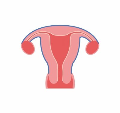 Health experts express concern over growing trend of uterus removal