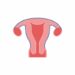 Health experts express concern over growing trend of uterus removal