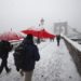38 dead as severe Arctic storm batters US, Canada