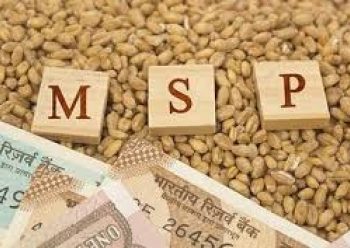 Cabinet clears MSP for copra for 2023 season