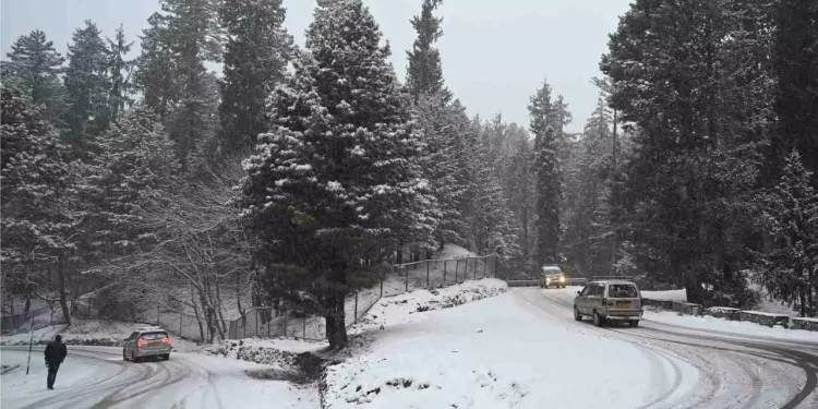 Snowfall brings cheer to tourists; relief from intense cold