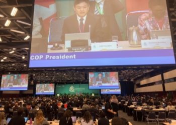 Nearly 200 nations adopt landmark biodiversity pact to protect 30% lands, oceans