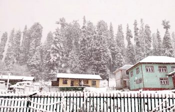 Hotels in Kashmir booked in advance for Christmas, New Year celebrations
