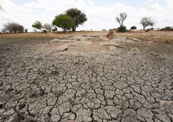 Turkey hit by severe drought amid lack of rain