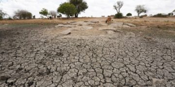 Turkey hit by severe drought amid lack of rain