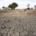 Turkey hit by severe drought amid lack of rain