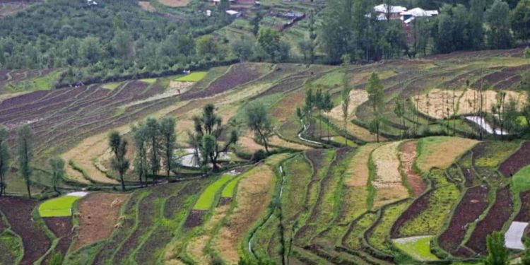 Political parties slam J-K administration’s order on land encroachment