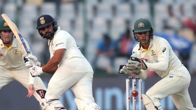 Rohit, Rahul remain unbeaten at stumps after Shami four-fer bowls out Australia for 263
