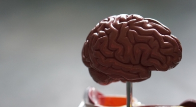 Bad dreams in childhood may signal Parkinson’s risk in adulthood